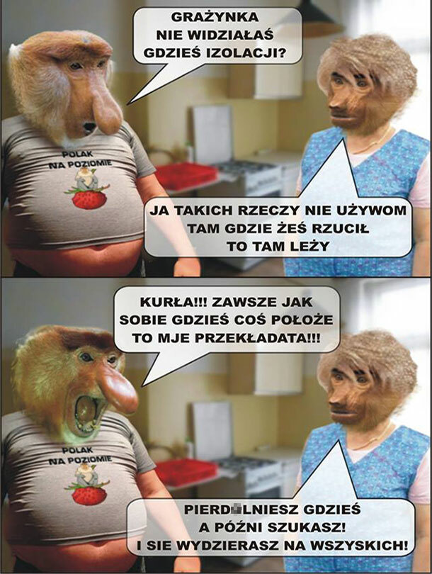 Typowy Janusz 