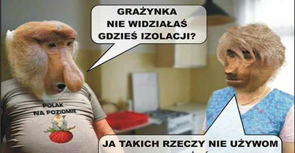 Typowy Janusz 