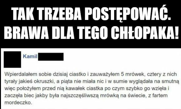 Dobry ziomek 
