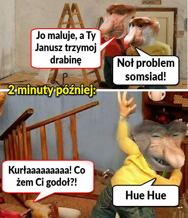Pomocny Janusz 