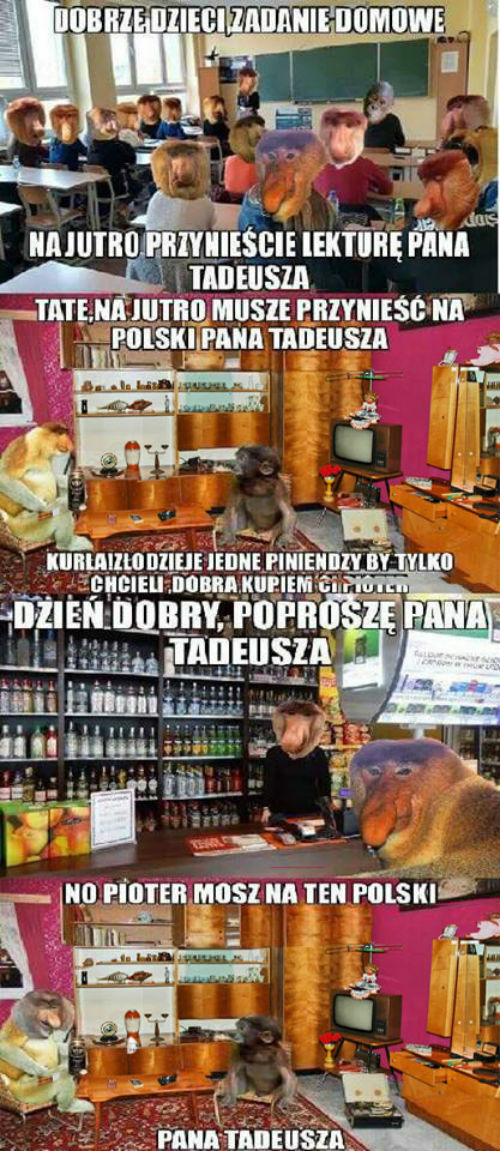 Pan Tadeusz według Janusza 