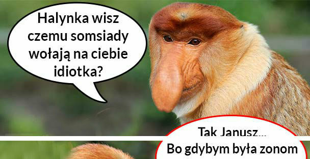 Halynka wie jak zgasić Janusza 