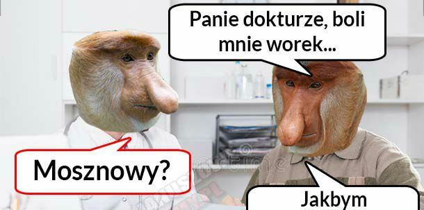 Chory na wory