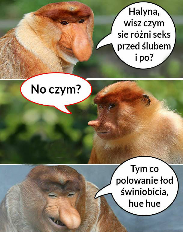 Janusz śmieszek 