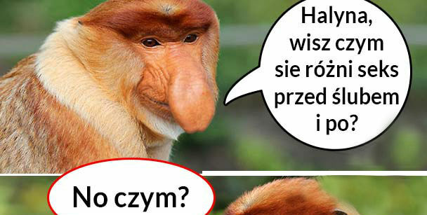 Janusz śmieszek 
