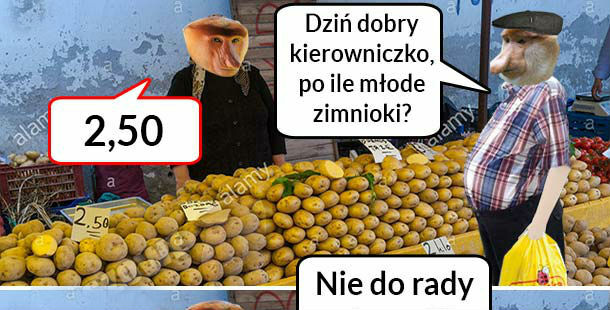 Młode ziemniaczki 