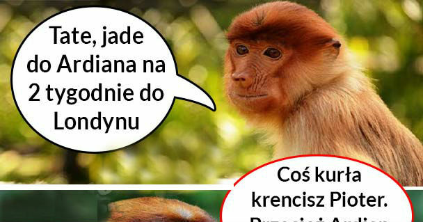 Pioterek coś kręci