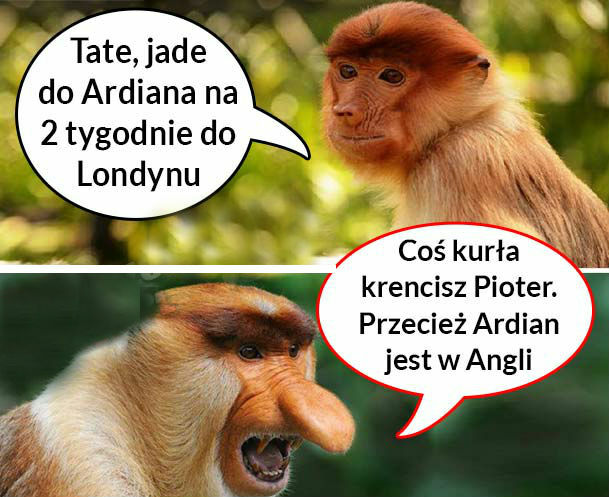 Pioterek coś kręci