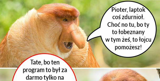 Pioter informatyk 
