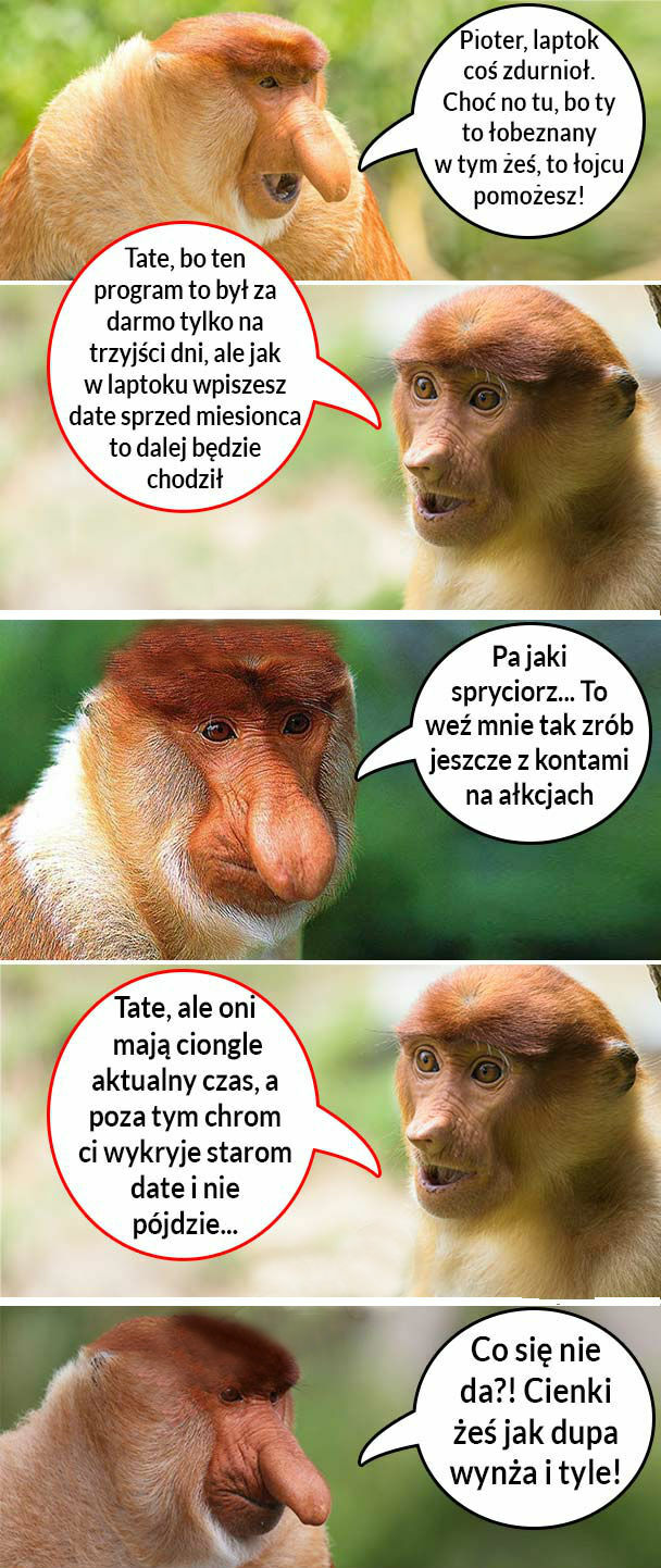 Pioter informatyk 