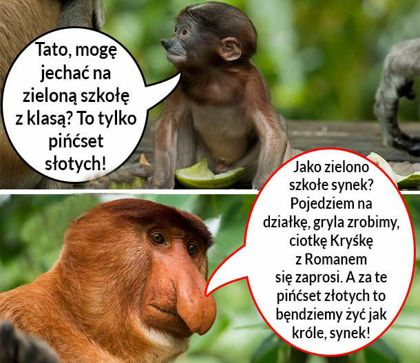 Zielona szkoła 