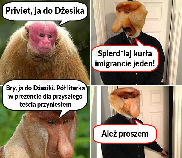 Wie jak trafić do serca Janusza 