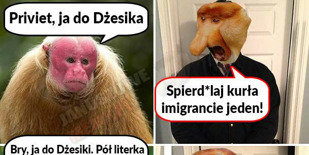 Wie jak trafić do serca Janusza 