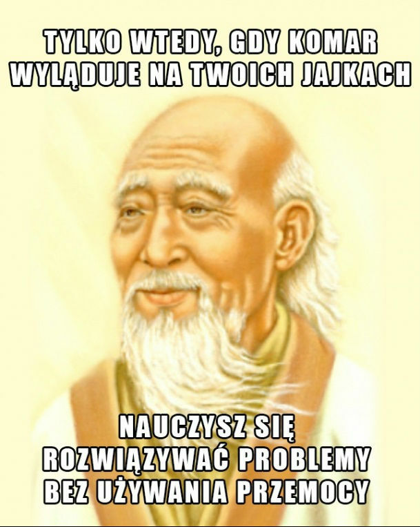Wyższa szkoła zen