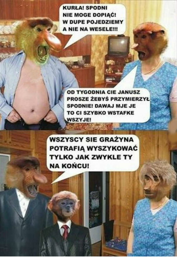 Grażyna-hamulcowa