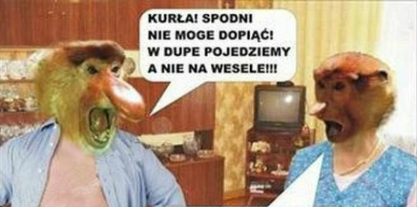 Grażyna-hamulcowa