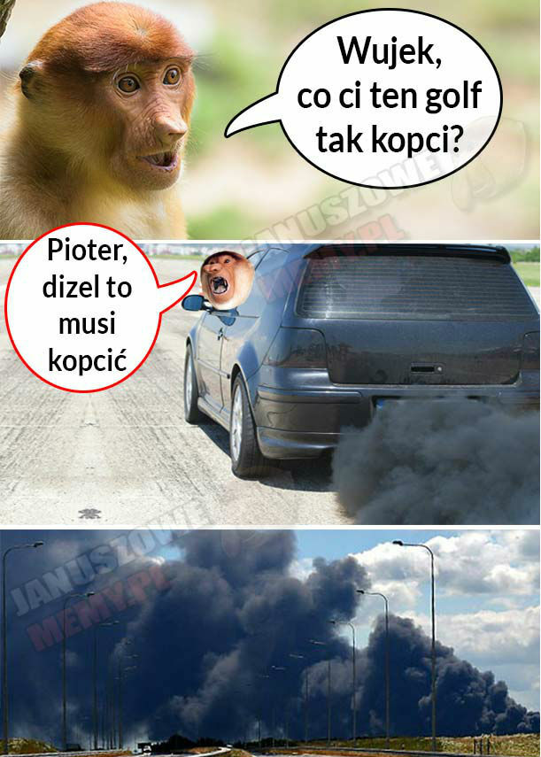 Golf wujka 