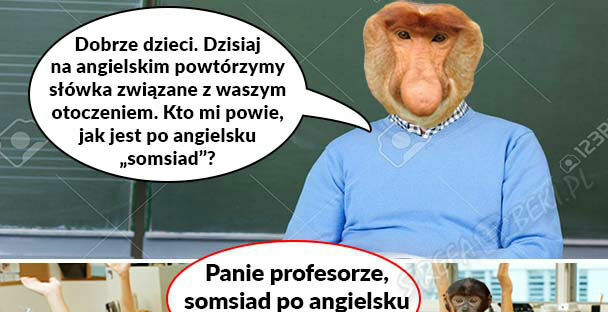 Somsiad po angielsku 