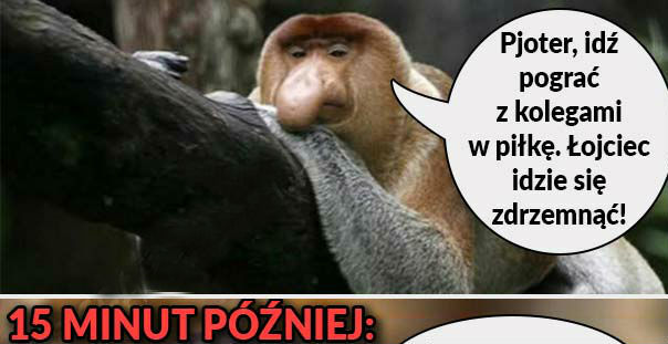 Kiedy Pioter narozrabia 