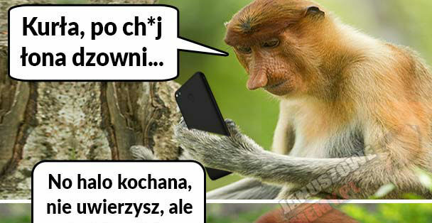 Za każdym razem... :D 
