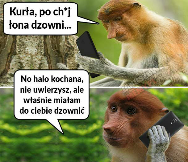 Za każdym razem... :D 