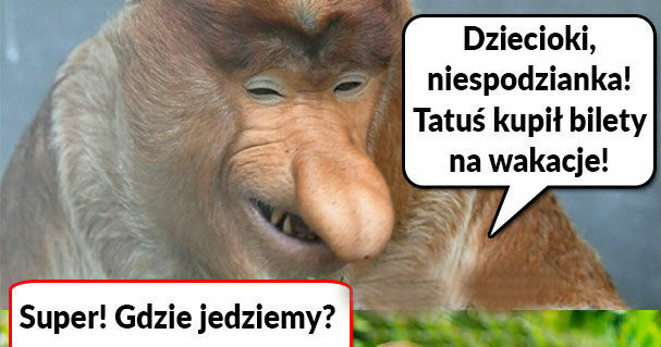 Wakacje według Janusza 