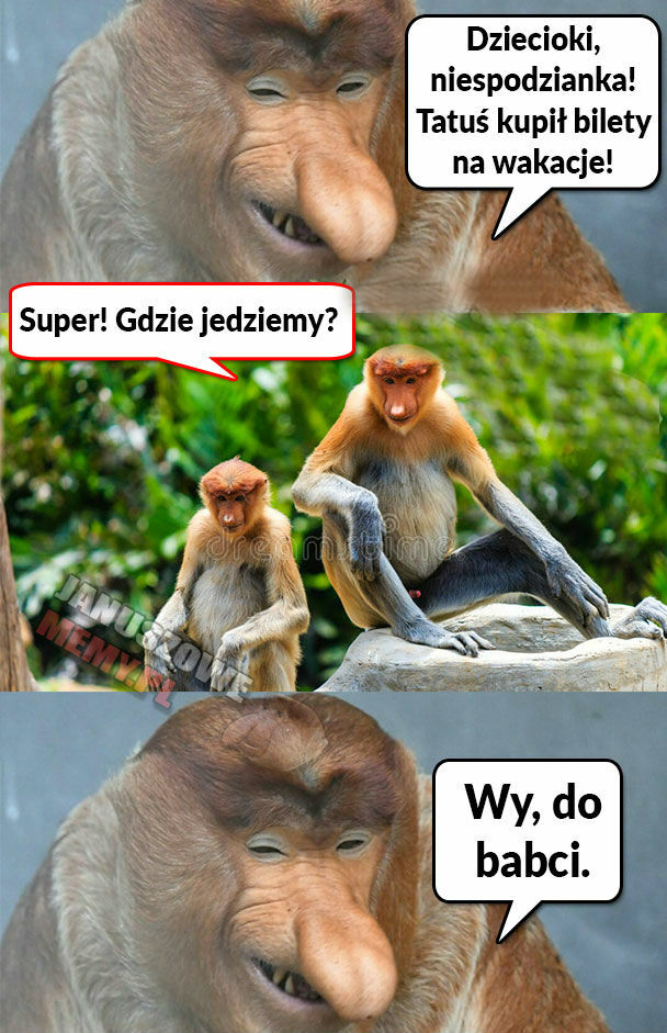 Wakacje według Janusza 