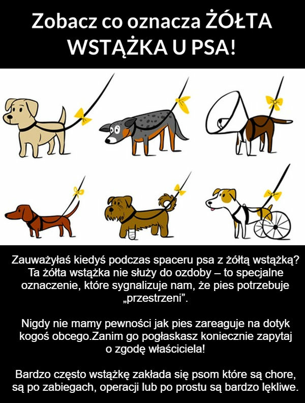Żółta wstążka 