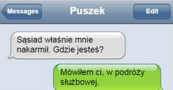 Gdyby koty potrafiły mówić...