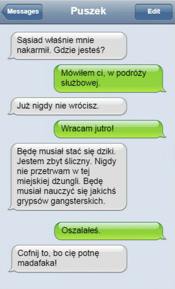 Gdyby koty potrafiły mówić...