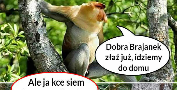 Kiedy Brajanek nie chce iść do domu 