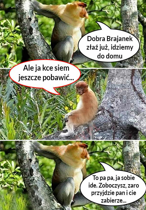 Kiedy Brajanek nie chce iść do domu 