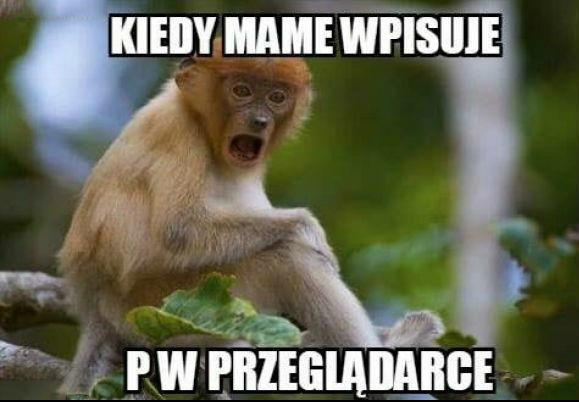 Zakazana litera