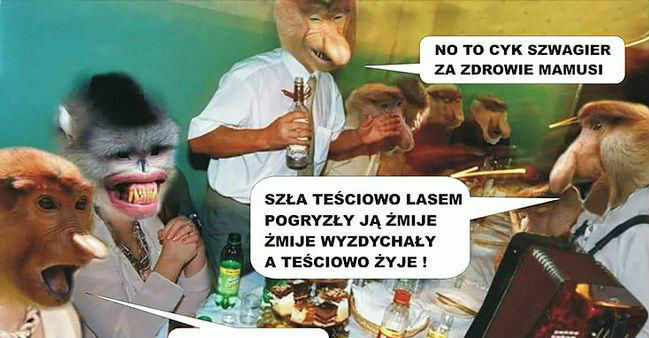 Januszowe przyśpiewki