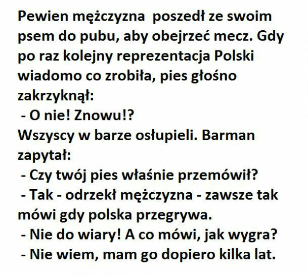Gadający pies