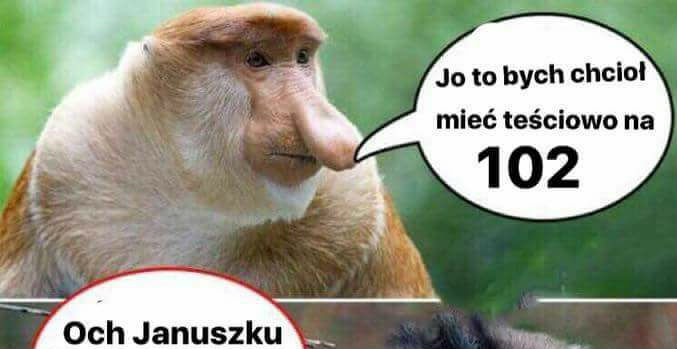 Teściowa na 102