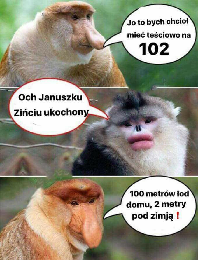 Teściowa na 102