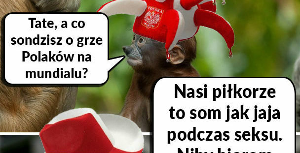 Janusz podsumował grę Polaków na Mundialu