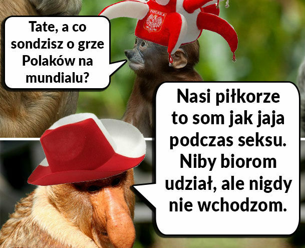 Janusz podsumował grę Polaków na Mundialu