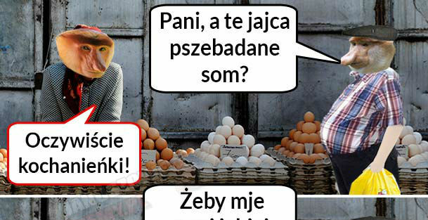 Wiejskie jaja 