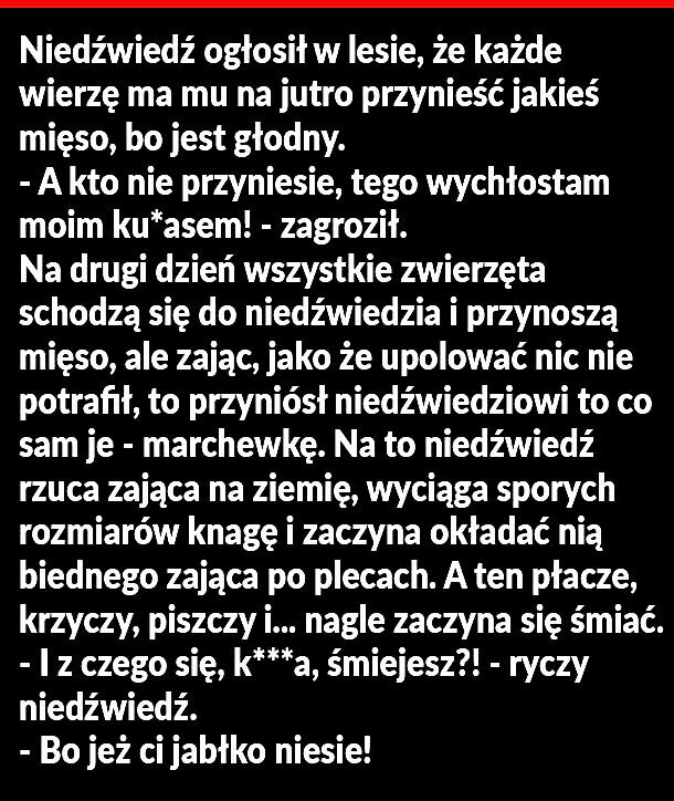 Czy warto było szaleć tak?