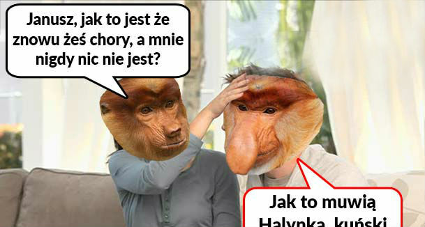 Powiedzonko 