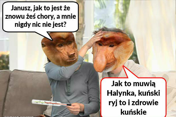 Powiedzonko 