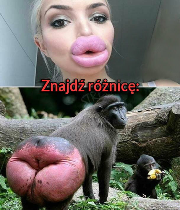 Znajdź różnicę 