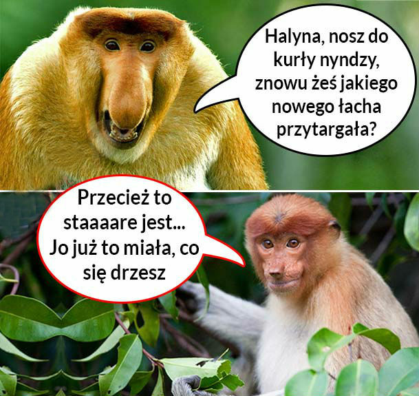 Kiedy Halyna kupi nowe ciuchy 