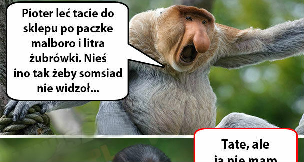 Pioter, skocz do sklepu