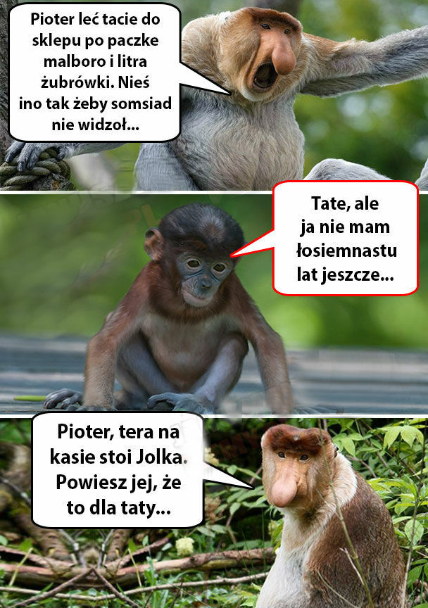 Pioter, skocz do sklepu