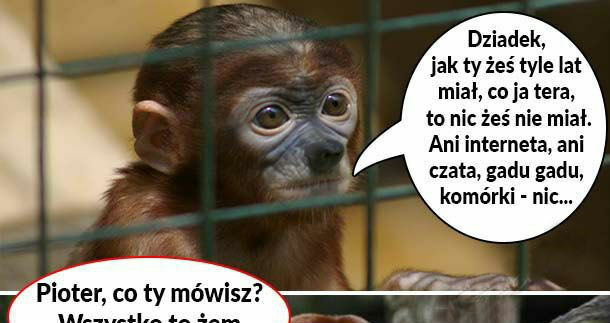Co nie było, jak było