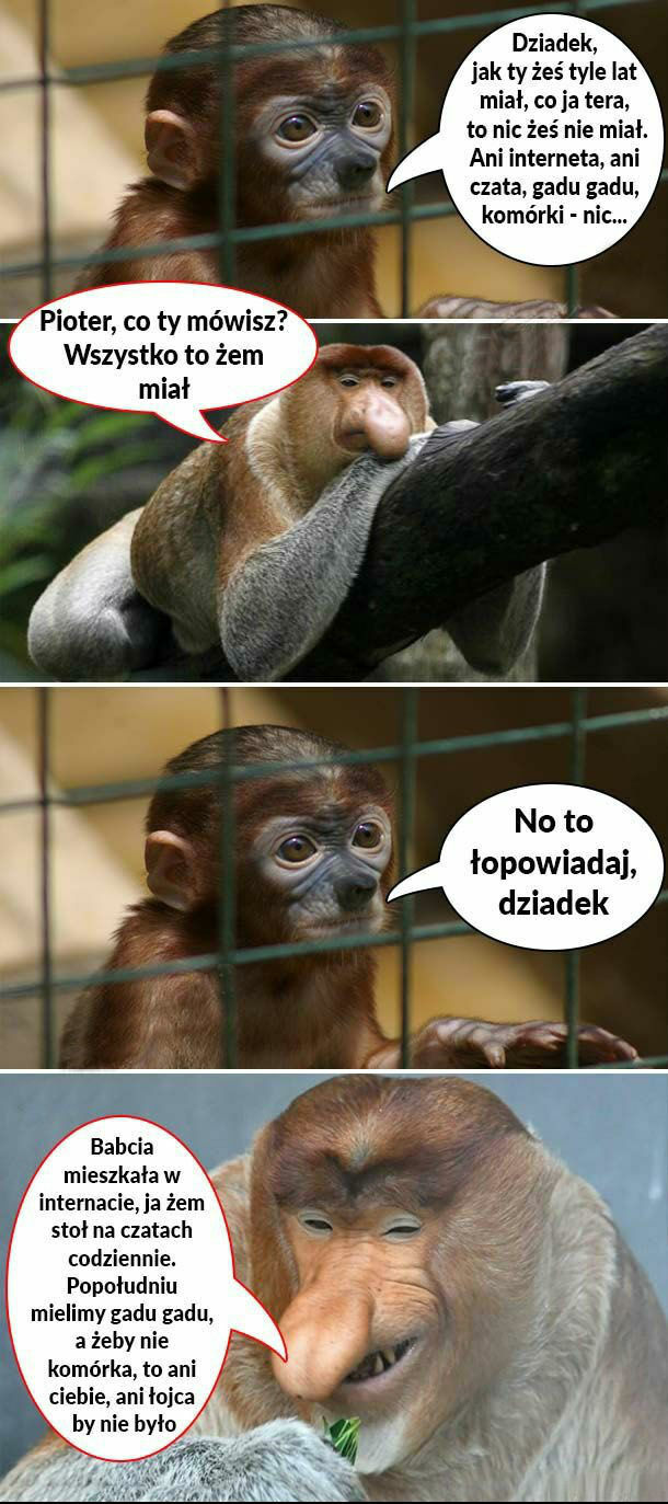 Co nie było, jak było