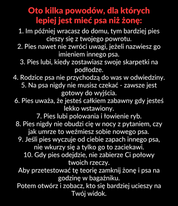 Dlatego lepiej mieć psa niż żonę 